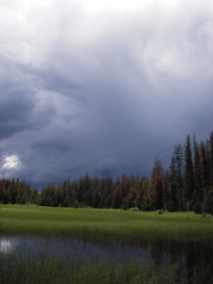 Storm clouds developing over a small pond in the Chilcotin