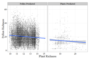 Figure 5 from Goring et al., the relationships between plant richness and smoothed pollen richness and vice versa both show a slightly negative relationship (accounting for very little variability), meaning higher plant richness is associated with lower pollen richness.